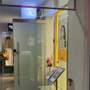 구르미속눈썹 | 송파구 속눈썹펌 맛집 내돈내산 찐 후기, 구르미그린눈썹&뷰티