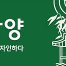담양농협 하나로마트 이미지