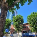 지에스(GS)25북구신암로점 이미지