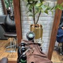 추자한의원 | [하남 두피케어] 보그헤어 신세계백화점 하남점 디톡스 두피케어 솔직 후기