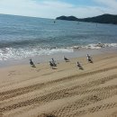 하나개해수욕장 이미지