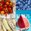 웰 에이징(well-aging) 식습관(食習慣) - '건강한 밥상' 이미지