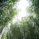 고궁펜션민박 이미지