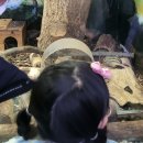 충북 단양여행 아이와가볼만한곳 다누리아쿠아리움 할인팁 후기