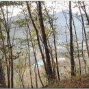 보룡농장 이미지