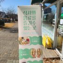 우와한샐러드