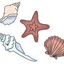 성인 우쿨렐레 이미지