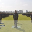 송백로-2 이미지