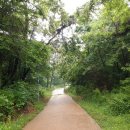 고잔근린공원 이미지