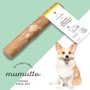 커피트리 이미지