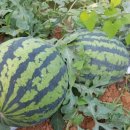 주원메이드 이미지