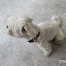 은가비옻칠미술 | [wmr studio] 서울 데이트 코스 용산 미술 공방 원데이 클래스