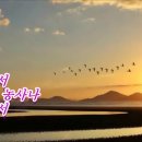 새한주 이미지