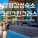 그린그린그라스 (Greengreengrass) 이미지