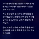 성장기 자녀를 둔 부모를 위한 대화법 | 아이가 자주 놀라듯 깨는 이유: 소스라치게 놀라는 아기와 함께 잠들지 못하는 부모를 위한 현실 처방전