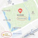 비에이치씨bhc 부산부전점 | 부산 주말 나들이 피크닉 실외 데이트 장소 추천 부산시민공원 야간이용후기