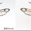 남도유리