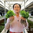 삼박농장 이미지