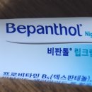 (주)지피에이치 네이버블로그