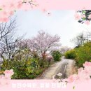벚꽃카페