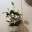 당동중학교 이미지