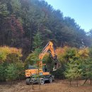 잣나무골 이미지