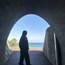 스테이 무코 이미지