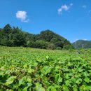 승지농장 이미지