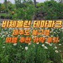 [비체올린-제주도 꽃구경 여행 추천 카약 후기]