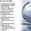 [법률신문] 해외법률시장 개척 중견로펌이 뛴다 - 조원희 대표변호사, 김홍영 GBSC 센터장