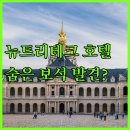뉴트리테크 호텔 앤 이벤트, 칼라판 여행의 숨은 보석? 객실 후기와 팁 공개!