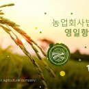 주식회사 영일 이미지