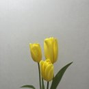 [230207][서울/안국] ‘바다수퍼해물천하조개구이’ 후기