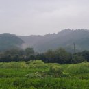 월출산방 이미지