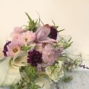명진켄넬 | Wedding_10 / 무이스튜디오&amp;더나인야드&amp;케일라베넷&amp;이희헤어앤메이크업 그리고 르웨딩❤️곰미플