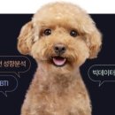 하나통신 이미지