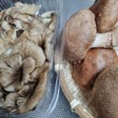 송이버섯 대신.. 송화버섯으로 먹어요~😋🥰 이미지