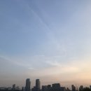 건강하게롱런하시게 | 밀크시슬 과 함께하다!