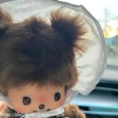 프랜즈 인형뽑기 | 대형 인형 매장 인천 누리프렌즈, 몬치치 구매 후기