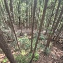 성지곡지 이미지