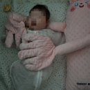 토닥이 - 안산시 단원구 광덕대로 194 | 엄마 품처럼 포근해! 토닥이인형 토닥인형 사용 솔직 후기 ✨