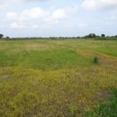 난산리-1 이미지