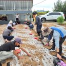 기동농장 이미지