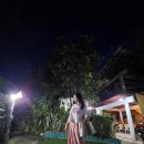 (주)참신렌트카여행사 | 필리핀 보홀 반딧불투어 내돈내산 렌트카 Maribojoc Mangrove Firefly Watching