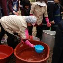 정 팜스테이 이미지