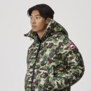 구스베이프 이미지
