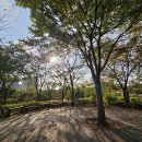 수목원피씨 이미지