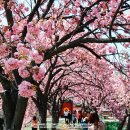 월곡역사공원 이미지