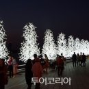 꽃세계 이미지