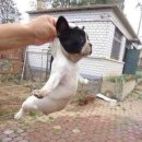 명동파크 이미지